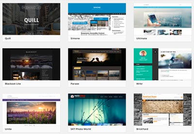 Layout Themes